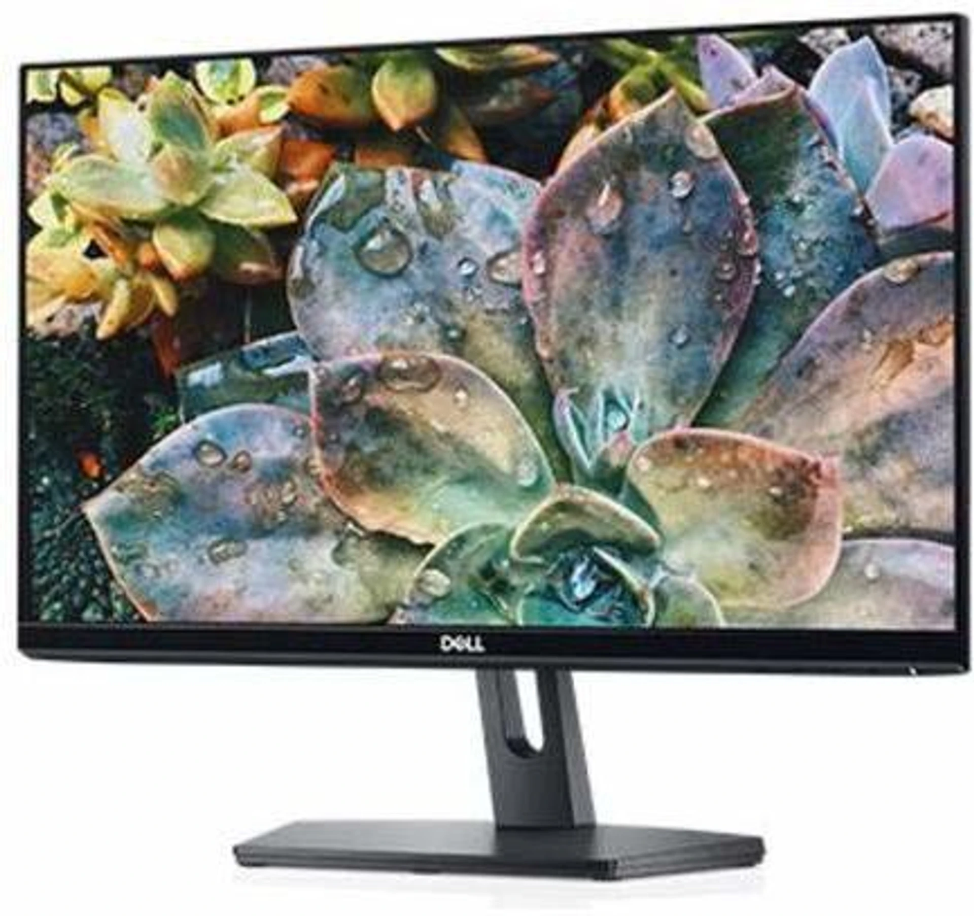 Dell 22 Inch Full HD Monitor