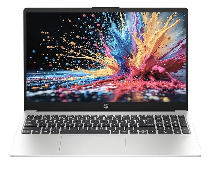 HP Professional 15 Intel Core 3 100U Business Laptop