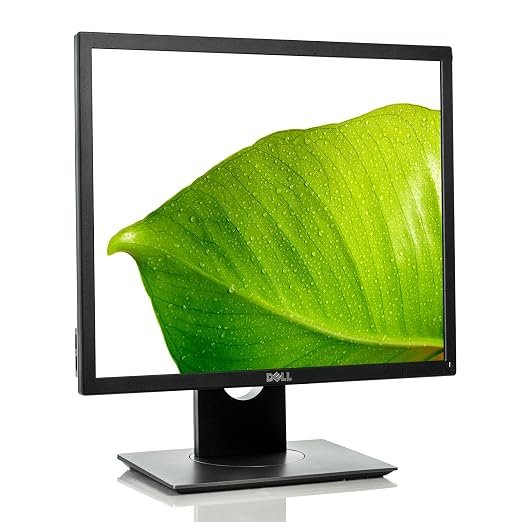 Dell Professional P1917S 19-inch Square LED Monitor